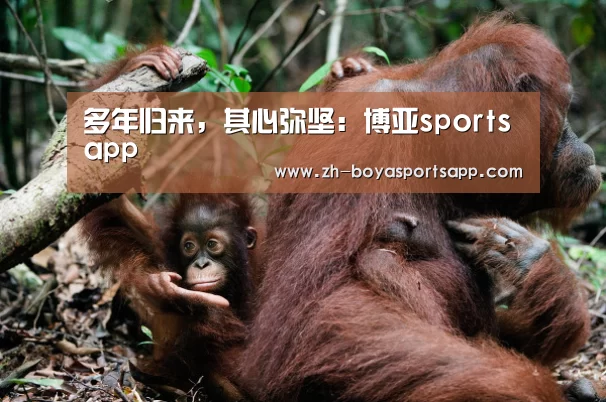 博亚sportsapp