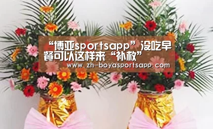 博亚sportsapp