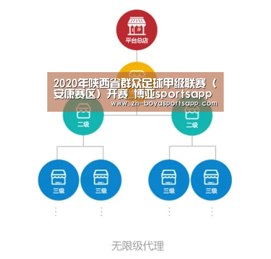 2020年陕西省群众足球甲级联赛(安康赛区)开赛_博亚sportsapp(图2) 博亚sportsapp