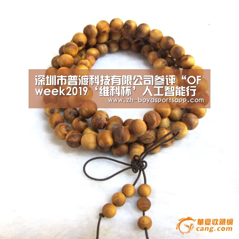 深圳市普渡科技有限公司参评“OFweek2019‘维科杯’人工智能行业突出贡献人物奖”:博亚sportsapp(图4) 博亚sportsapp