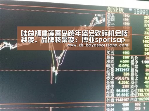 陆总福建莲香岛跨年盛会致辞机会核裂变、品牌核聚变:博亚sportsapp(图2) 博亚sportsapp